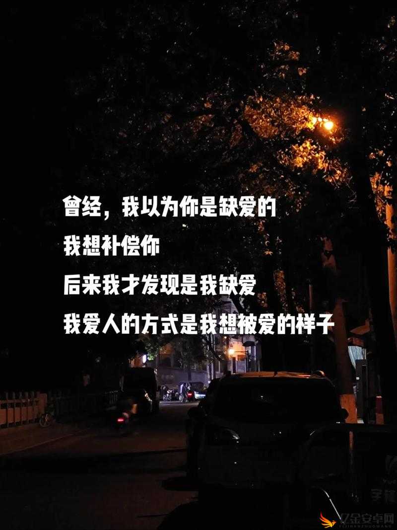 深夜网站你会回来感谢我的：这样的深夜，你是否需要一些特别的陪伴？